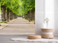 Фотошпалери Арка з листя - 2