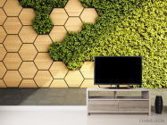 Фотообои 3д панели, мох - 2