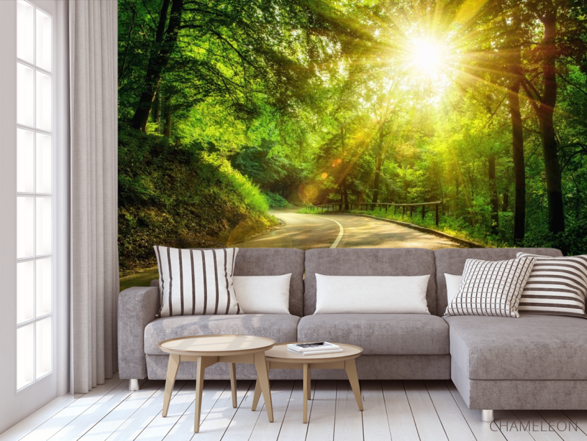 Фотообои Восход в лесу - 3