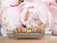 Фотообои нежные бело-розовые пионы - 1