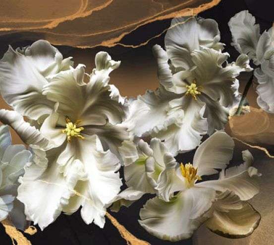 Фотошпалери махрові тюльпани 3d Фотошпалери махрові тюльпани 3d 29795