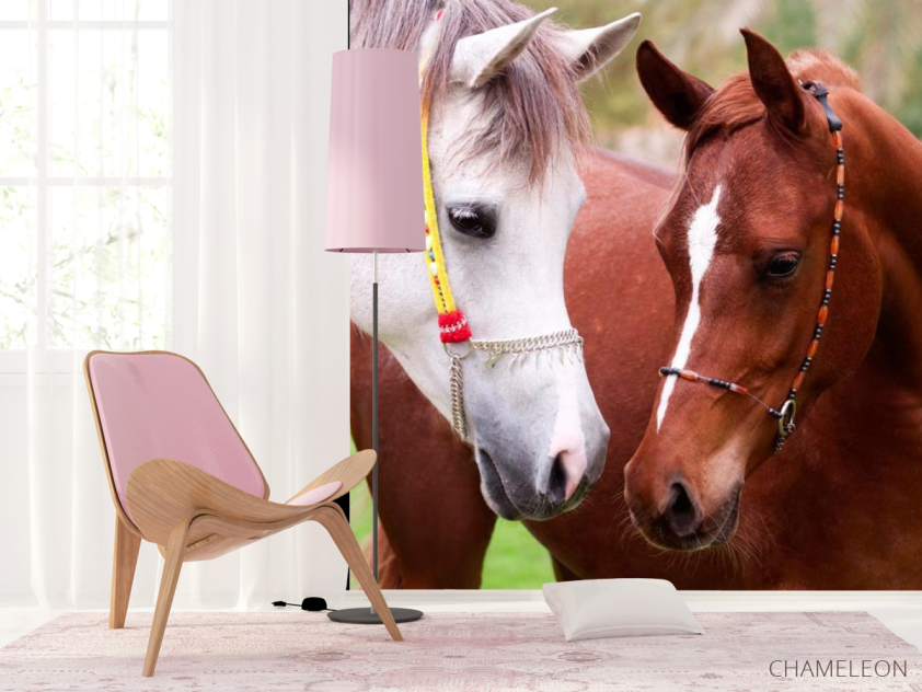 Фотошпалери Пара коней - 4