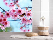 Фотошпалери Квітуча гілка - 2
