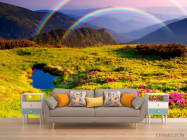 Фотообои Цветное поле, радуга - 1