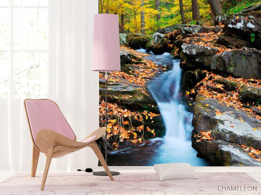 Фотошпалери Струмок біжить - 4