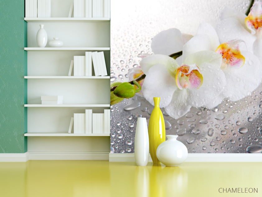 Фотошпалери Три білі орхідеї - 3