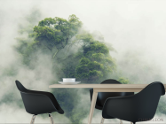 Фотошпалери тропіки в тумані - 1