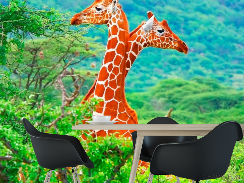 Фотошпалери Жирафи серед дерев - 1