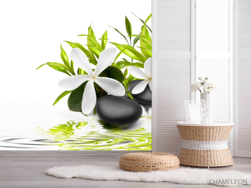 Фотошпалери Білі квіти - 2