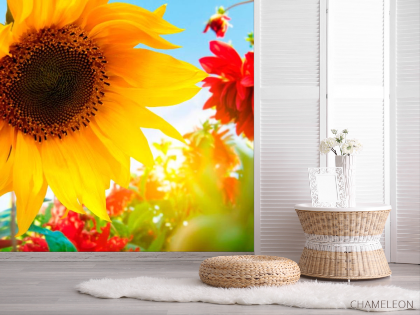 Фотошпалери Соняшник і гербера - 2