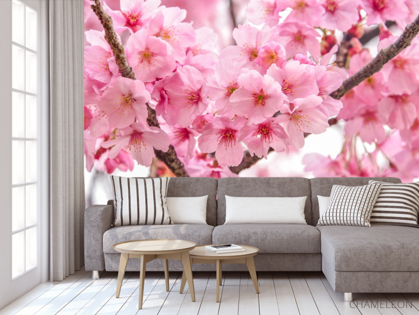 Фотообои две ветки сакуры - 3