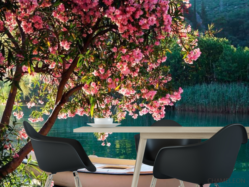 Фотошпалери Човен, берег, квіти - 1