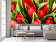 Фотообои красные тюльпаны - 3