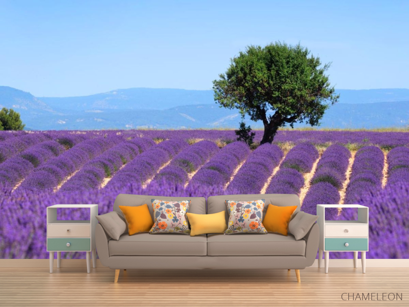 Фотообои сиреневое поле - 1