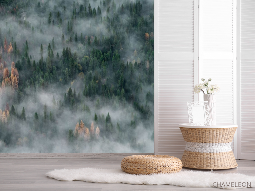 Фотошпалери туманні сосни - 2