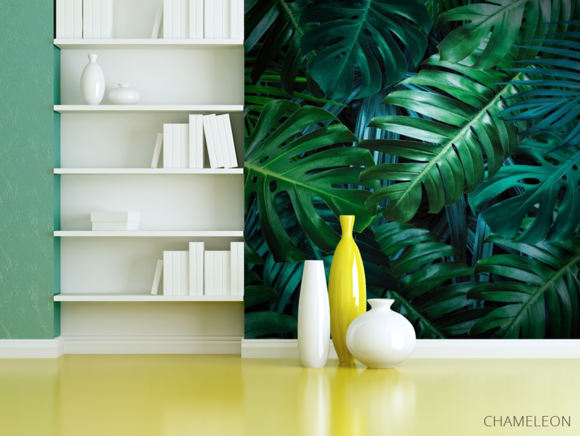 Фотошпалери листя монстери - 3