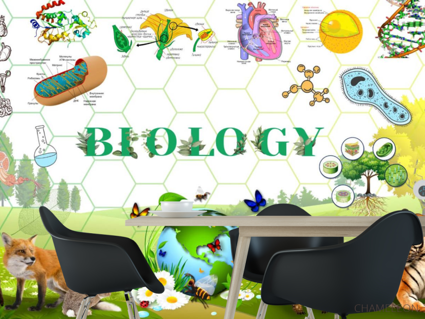 Фотошпалери Для кабінету біології - 1