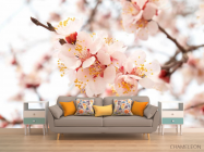 Фотообои Цветущий абрикос весной - 1