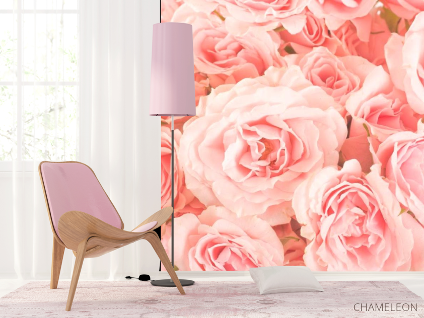 Фотошпалери Троянди ніжно-рожеві - 4