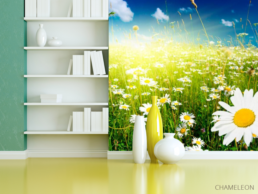 Фотошпалери Схід у ромашкове поле - 3