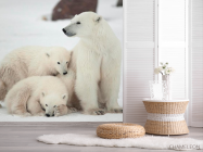 Фотошпалери Сім'я білих ведмедів - 2