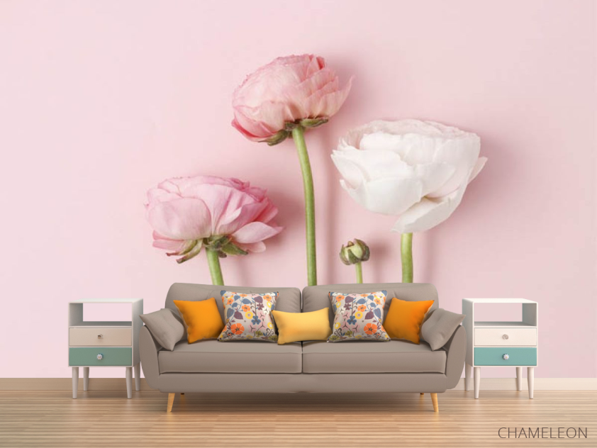 Фотообои Минималистичные рунункюлюсы - 1