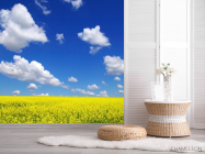 Фотошпалери Колір і небо - 2