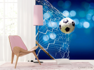 Фотошпалери Сітка з м'ячем - 4