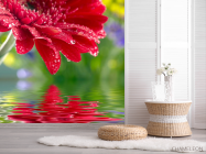 Фотошпалери червоний квітка над водою - 2