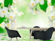 Фотообои Белые весенние цветочки - 1