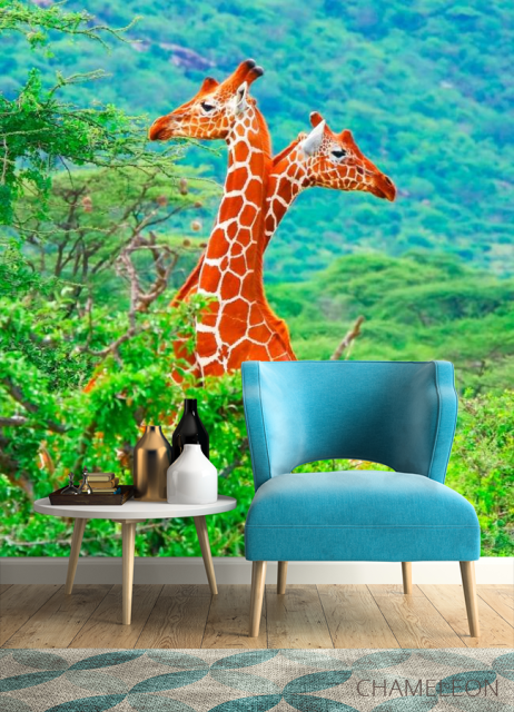 Фотообои Жирафы среди деревьев - 4