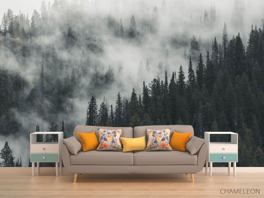 Фотообои Туманный лес - 1