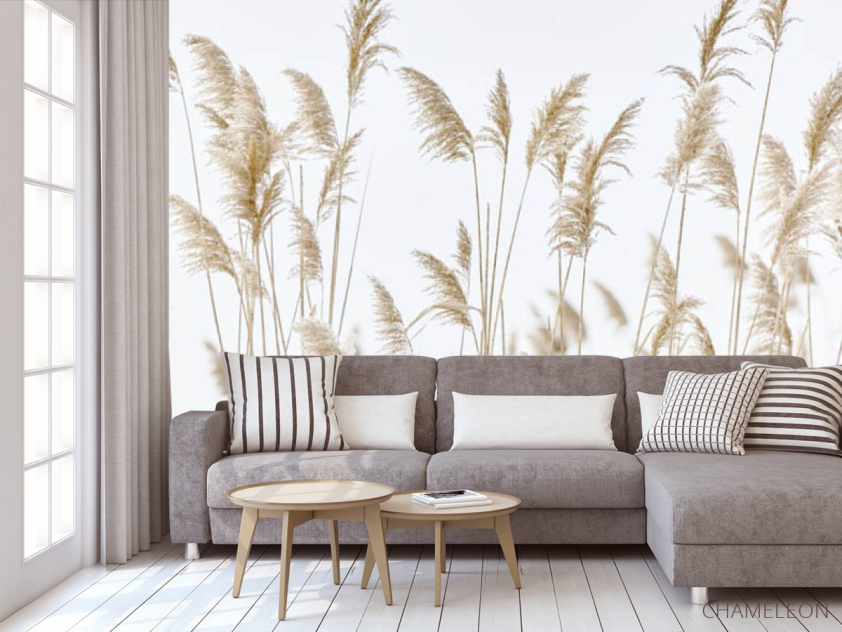 Фотообои Сухоцветы камышь - 3