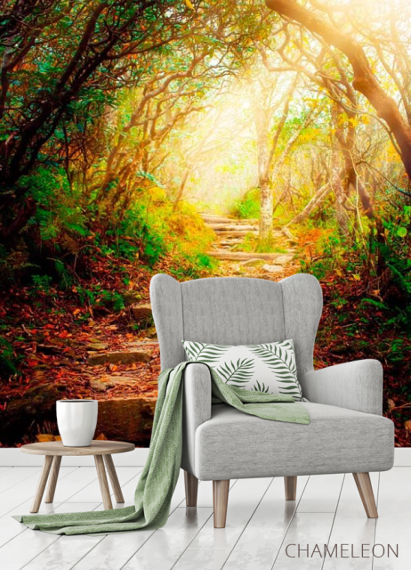 Фотообои Ступеньки, лес - 3