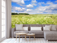 Фотообои поле - 3