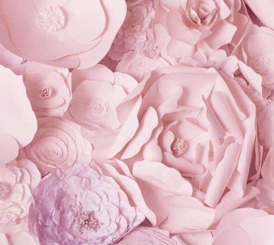 Шпалери паперові рожеві квіти 21012