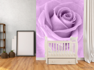 Фотообои сиреневая роза - 2