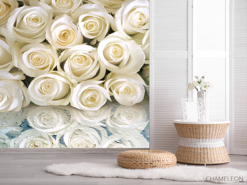 Фотошпалери Білі троянди з росою - 2