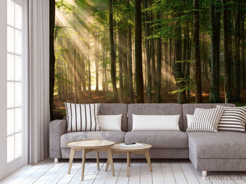 Фотообои Деревья - 3