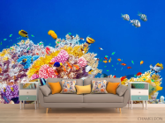 Фотообои Кораллы и рыбы - 1