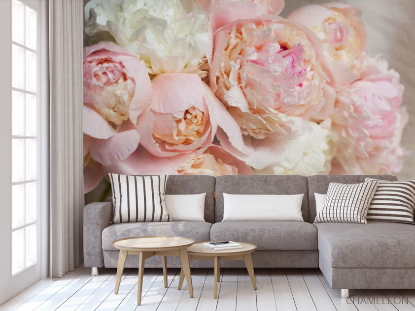 Фотообои нежные цветы с каплями - 3