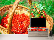 Фотообои Земляника - 2