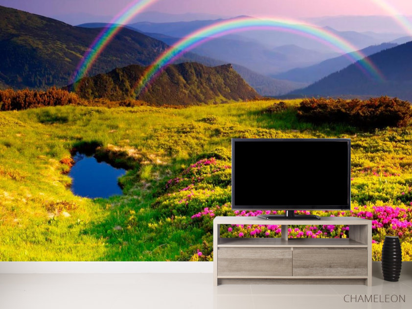 Фотообои Цветное поле, радуга - 2