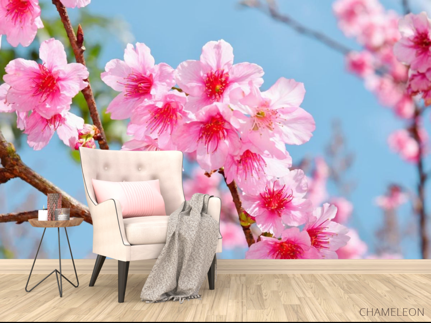 Фотообои яркие розовые цветочки на дереве - 4