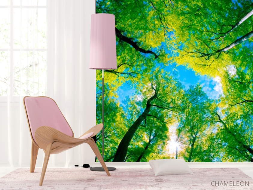 Фотошпалери Верхівки дерев - 4