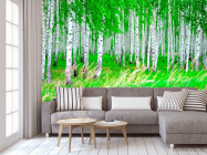 Фотообои Березовая роща, лес - 3