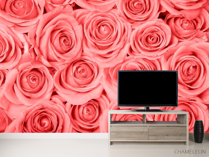 Фотообои Кремово-розовые розы - 2