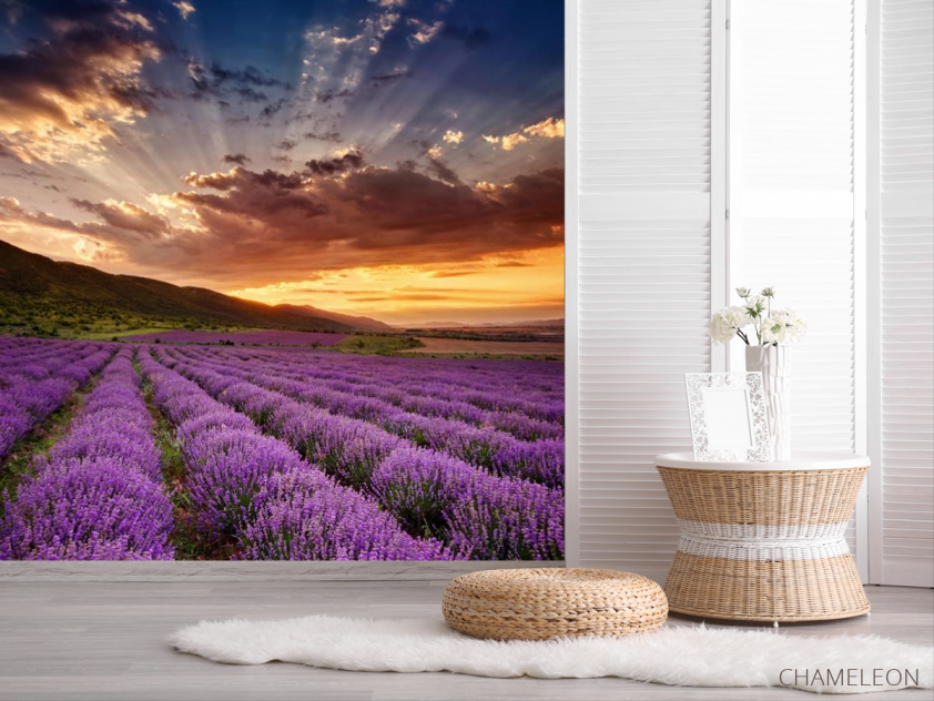 Фотошпалери захід сонця над полем бузковим - 2