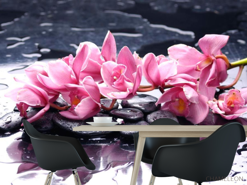 Фотошпалери Бузкові квіти і камені - 1