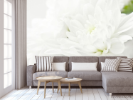 Фотообои Белые хризантемы - 3